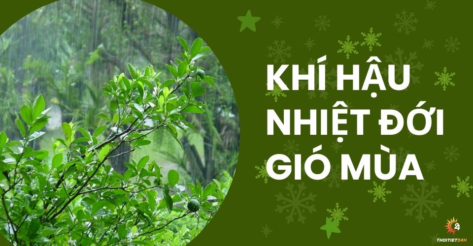  Khí hậu nhiệt đới gió mùa